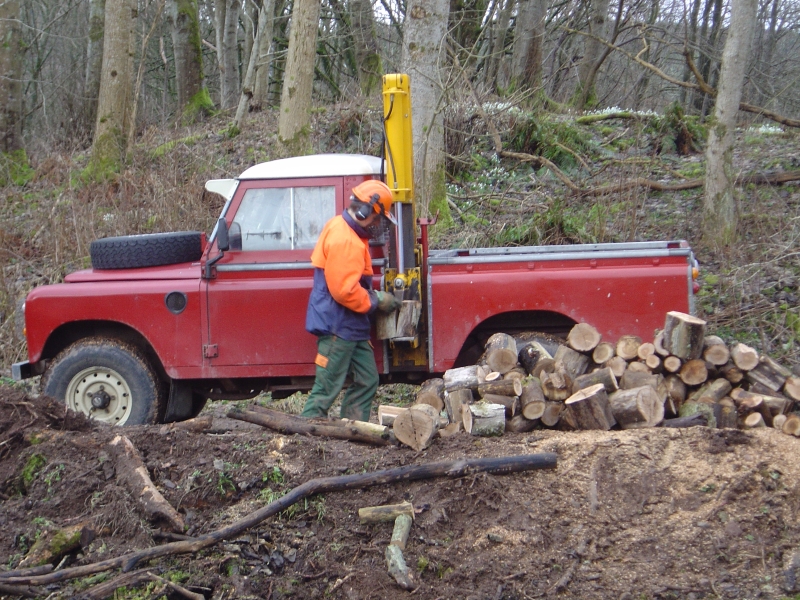 21st February 2009 005